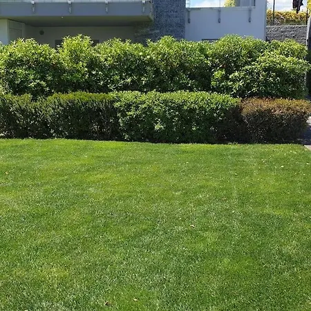 Appartement Le Dune 65 Ginestra Silvi Marina